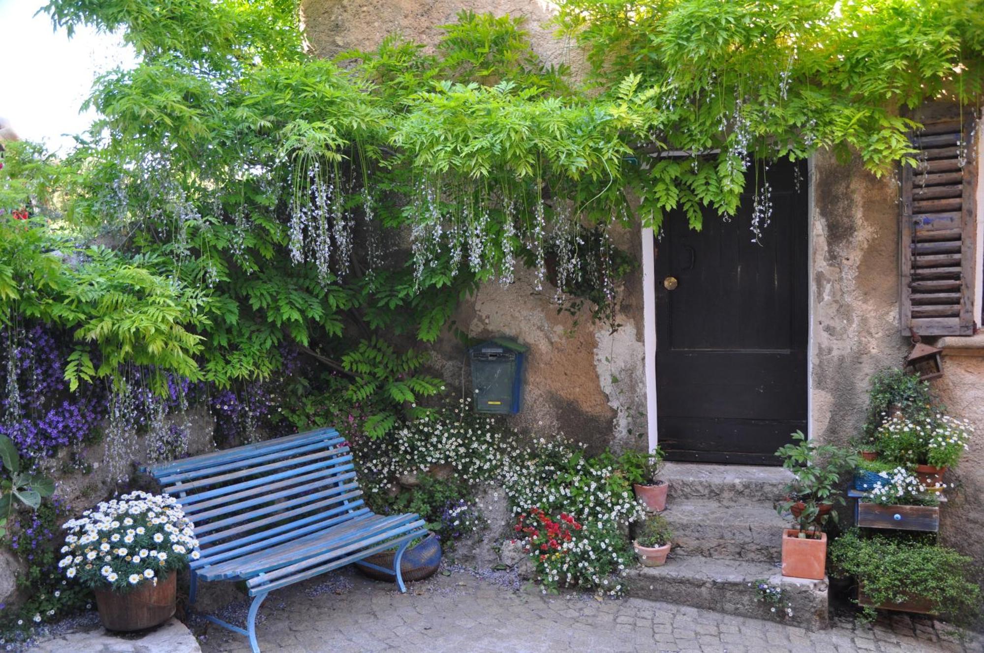 סן-מקסימין-לה-סנט-בום Le Clos Geraldy - Chambres D'Hotes De Charme, Piscine Et Spa מראה חיצוני תמונה
